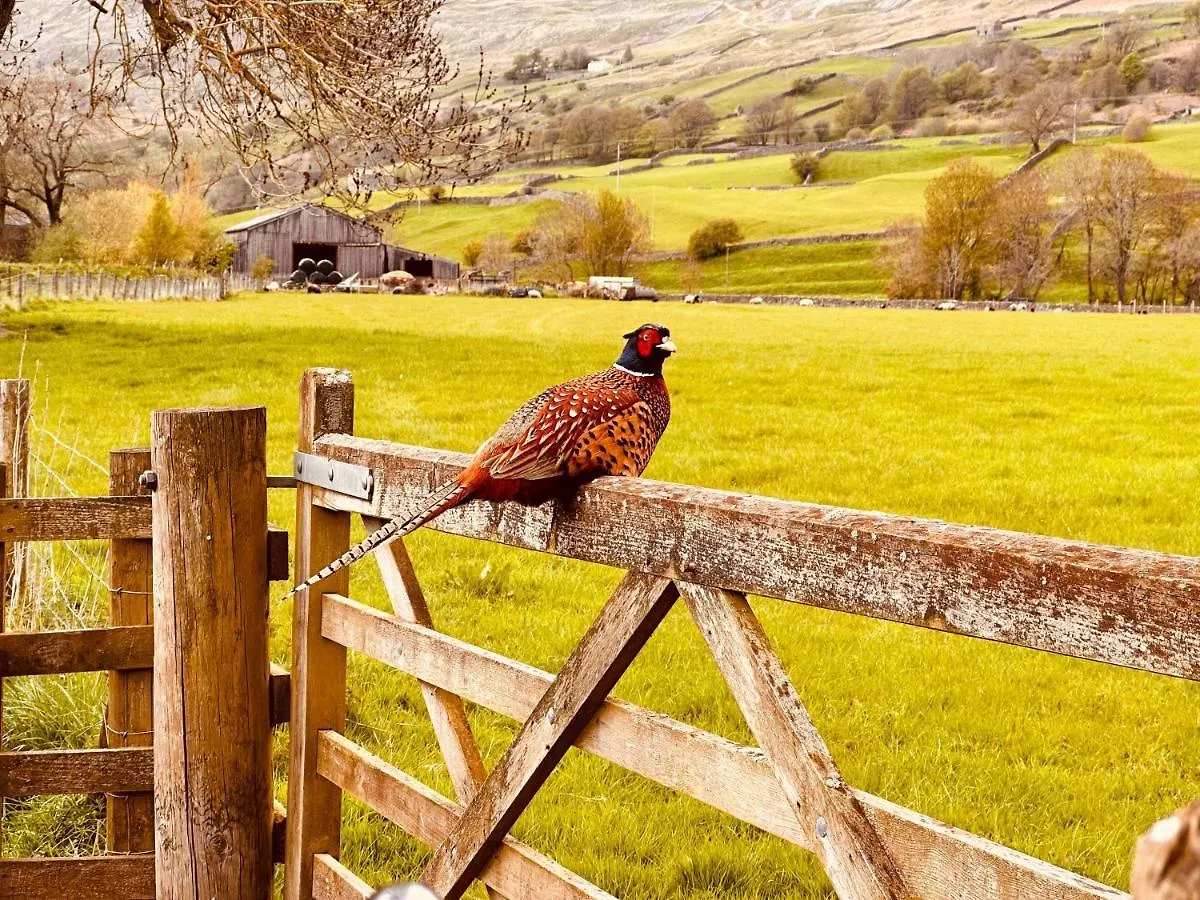 Vila The Old Barn Reeth 0*,